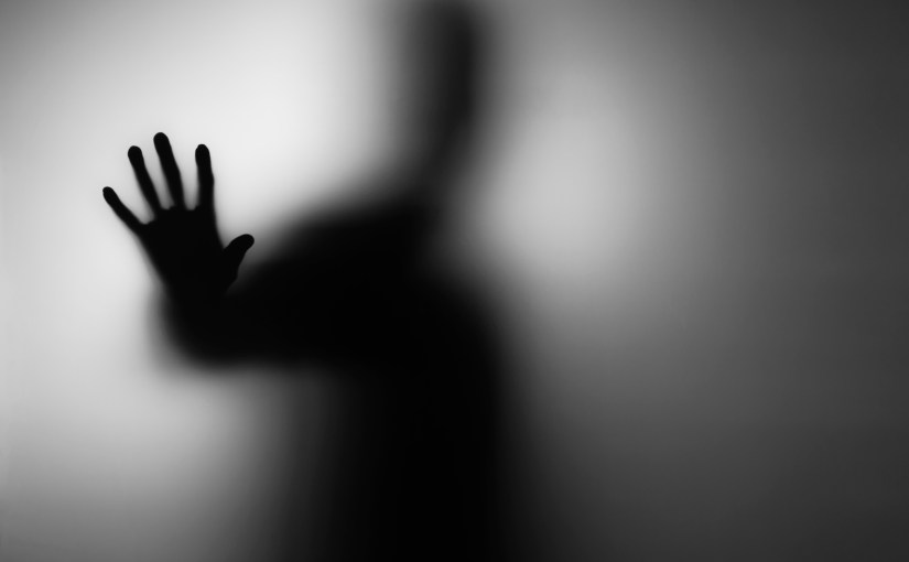 Spiritual Activism: Recognizing the Shadow (Essay 3 of&nbsp;Series)